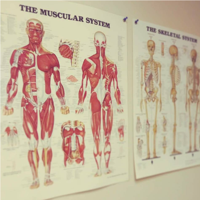 Two massage therapy at VAMT charts of human anatomy in dim lit room